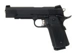 HI-CAPA