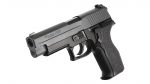 SIG SAUER P226 E2 - Image 11