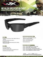 VALOR Smoke Grey Lens Matte Black Frame