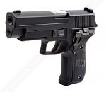 F226 w/rail - Image 8